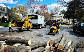 Best Tree Trimming and Pruning  in Howe, TX