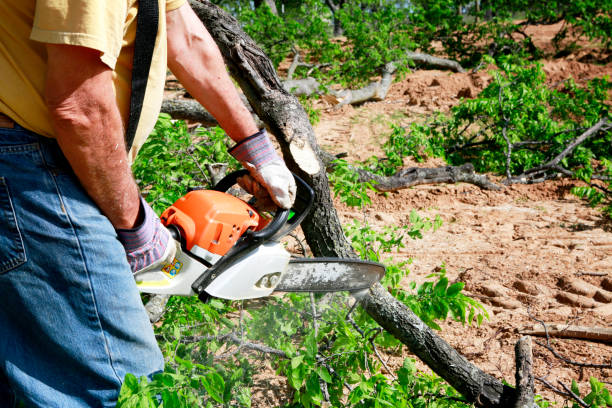 Best Utility Line Clearance  in Howe, TX